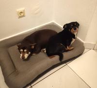 IMG-20241210-WA0053.jpg