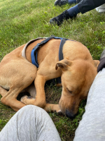 IMG-20250522-WA0024.png