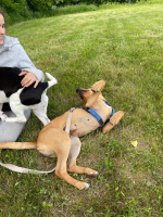 IMG-20250522-WA0025.png