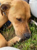 IMG-20250522-WA0026.png