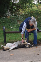 IMG-20250928-WA0107.png