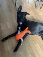 IMG_356028129.JPEG