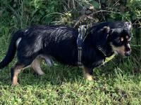 IMG_4392.jpeg
