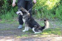 IMG_4720~1.jpg