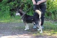 IMG_4729~0.jpg