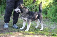 IMG_47355B15D.jpg