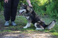 IMG_4740~0.jpg
