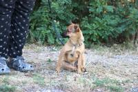 IMG_5766.jpg