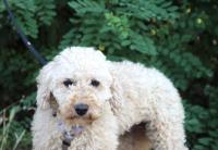 IMG_6017~0.jpg