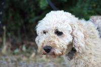 IMG_6026~0.jpg