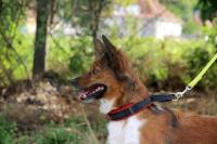 IMG_6904~0.jpg