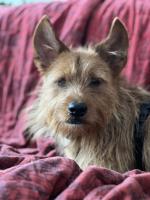 Lukasko_IMG_0918.jpg