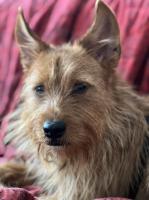 Lukasko_IMG_0926.jpg