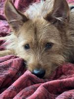 Lukasko_IMG_0927.jpg