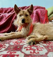 Lukasko_IMG_1035.jpg
