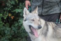 Stormy_281029.jpg