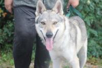 Stormy_28529.jpg