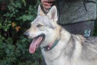 Stormy_28929.jpg