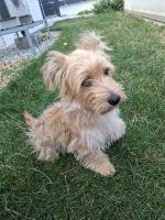 WhatsApp_Image_2026-09-02_at_09_23_09.jpeg