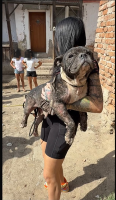 WhatsApp_Image_2026-10-19_at_20_32_45.png