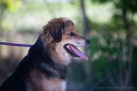 Wuschelmix_28529.jpg